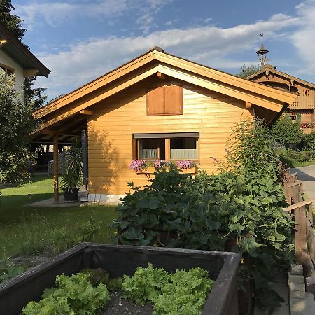 Ferienhaus Hofwimmer Kirchberg in Tirol Exteriör bild
