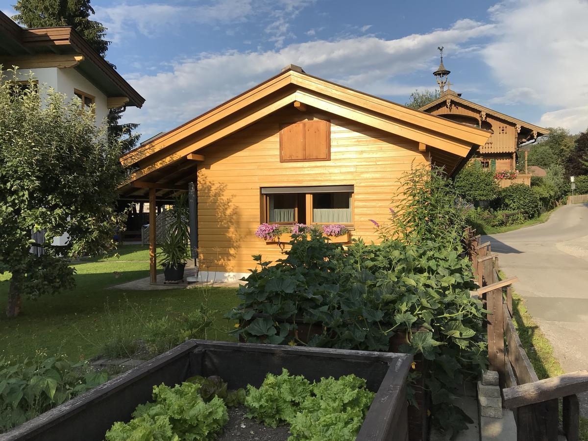 Ferienhaus Hofwimmer Kirchberg in Tirol Exteriör bild